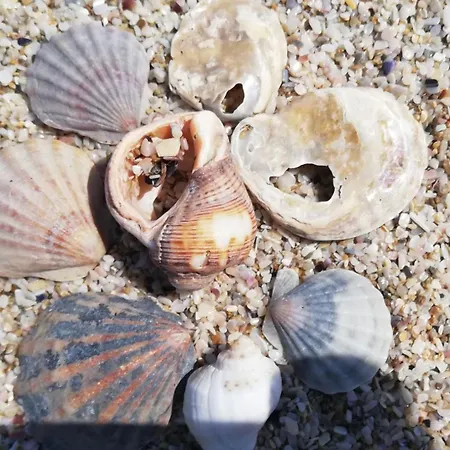 Sun And Sea شقة سوزوبول